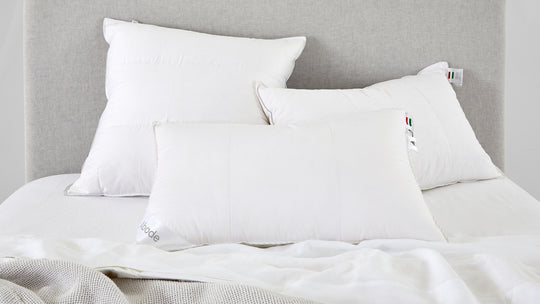 Hungarian 20 Pillow